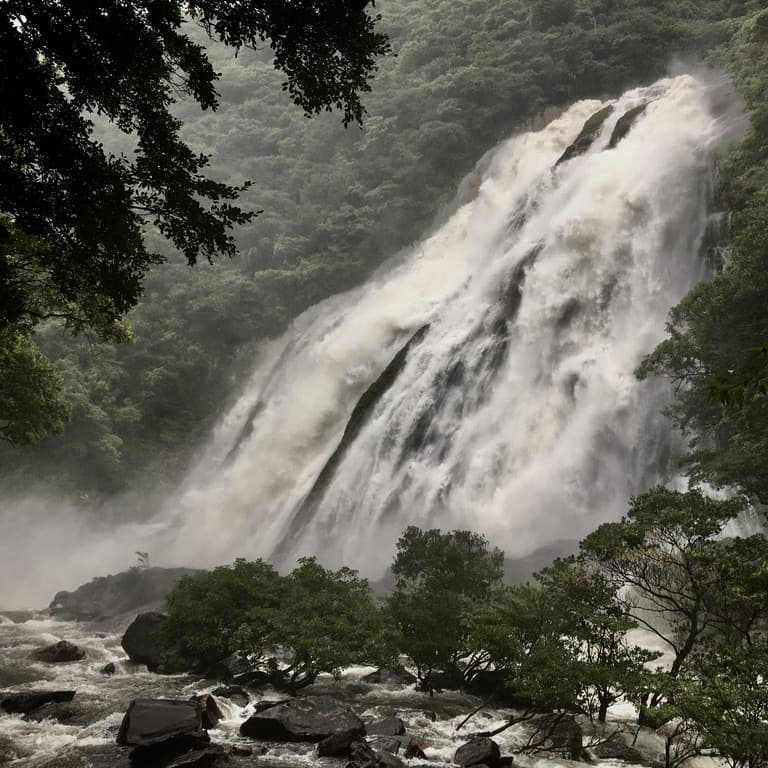 屋久島の大川の滝