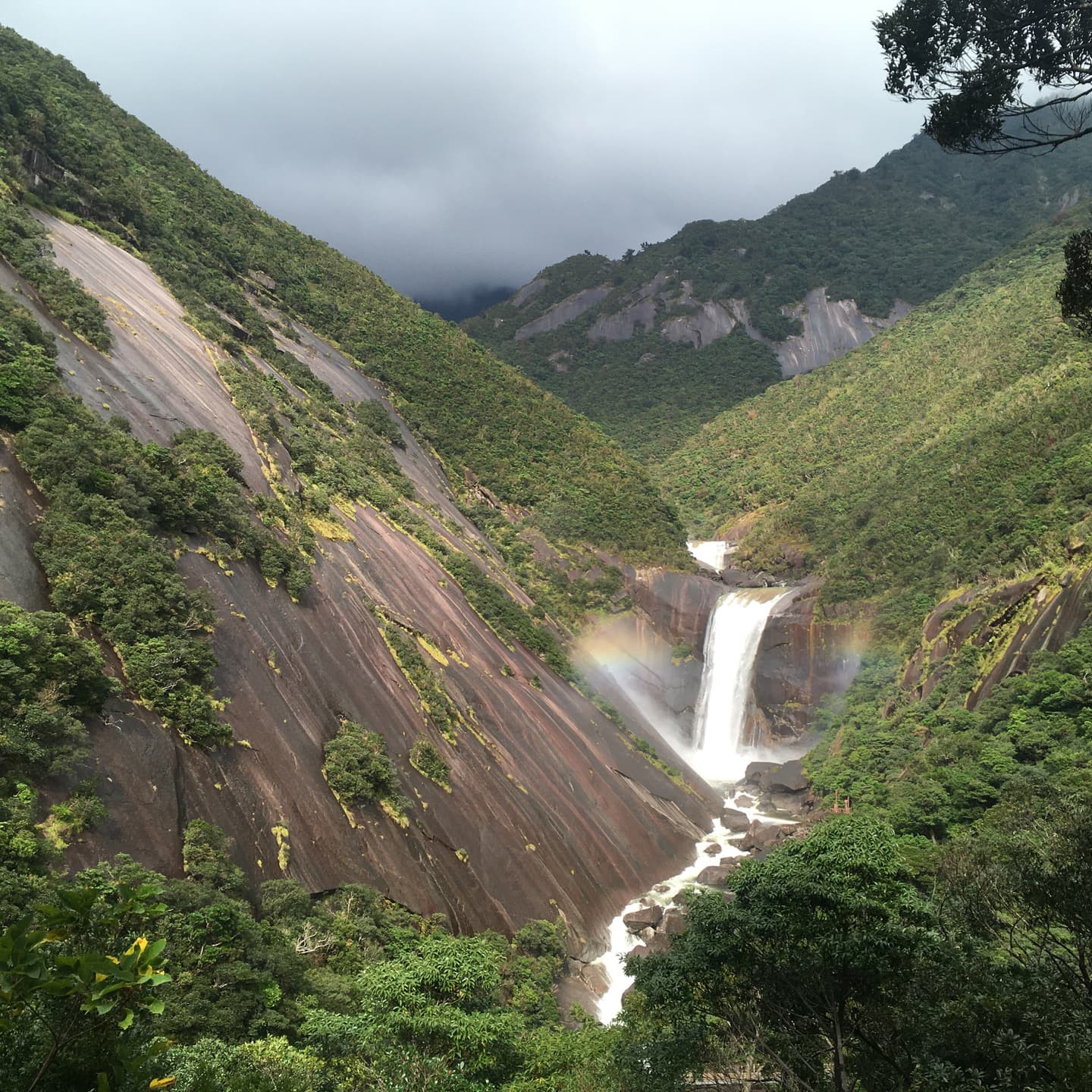 屋久島の千尋の滝